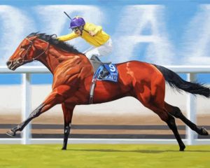 Aesthetic Race Horse paint by numbers