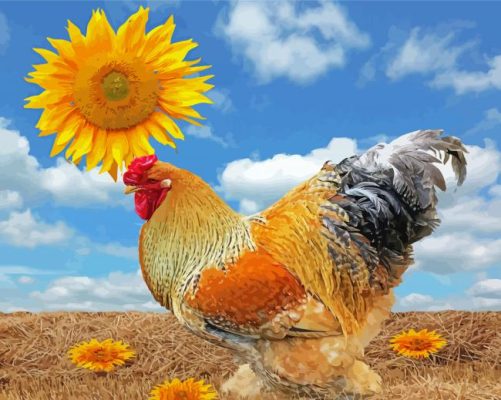 Rooster And Sunflowers paint by numbers
