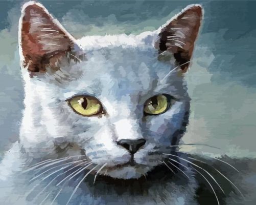Aesthetic Grey White Cat paint by numbers 