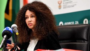 Aesthetic Lindiwe Sisulu paint by numbers