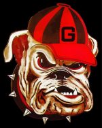 Bulldog With Hat paint by numbers