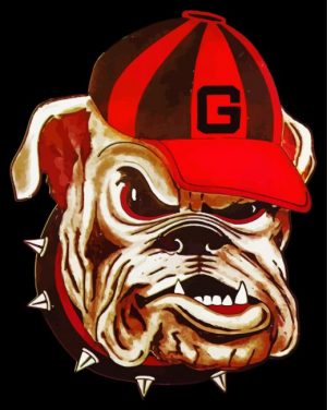 Bulldog With Hat paint by numbers