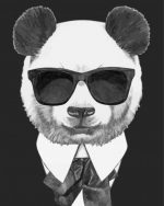 Cool Panda With Glasses paint by numbers