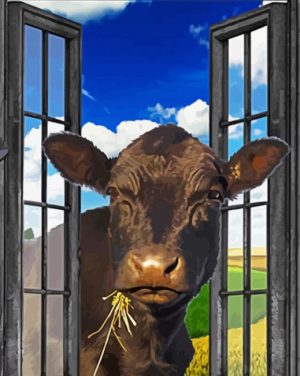 Cute Black Angus Cow paint by numbers
