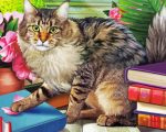 Cute Cat With Books paint by numbers