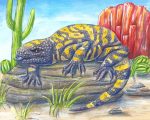 Gila Monster Animal paint by numbers