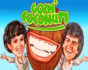 Goin Coconuts paint by numbers