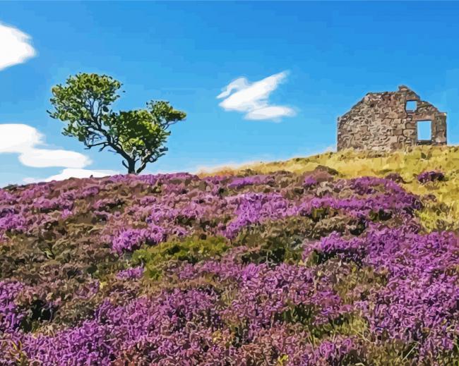 Heather Landscape paint by numbers