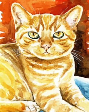 Orange Tabby Cat paint by numbers