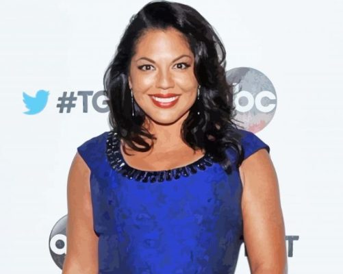 Sara Ramirez paint by numbers