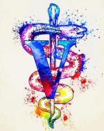 Splatter Veterinarian symbol paint by number