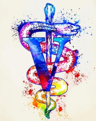 Splatter Veterinarian symbol paint by number