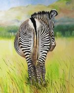 Zebra Butt paint by numbers