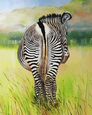 Zebra Butt paint by numbers