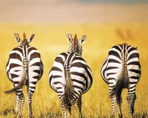 Zebra Butts paint by numbers