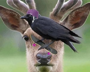 Crow And Deer paint by numbers