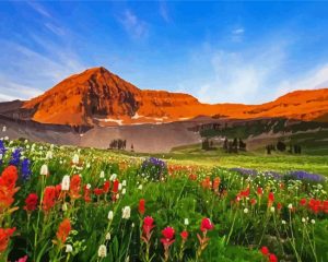 Mt Timpanogos paint by numbers