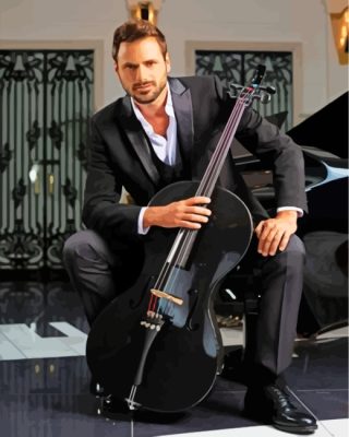 Classy Hauser Cello paint by numbers