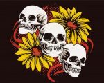 Skulls Sunflowers paint by numbers