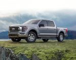 Grey Ford F 150 paint by numbers