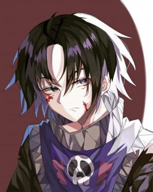 Hunter X Hunter Feitan paint by numbers