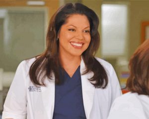 The Actress Sara Ramirez paint by numbers