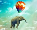 Flying Elephant paint by numbers