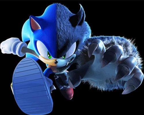 Aesthetic Sonic Werewolf paint by numbers
