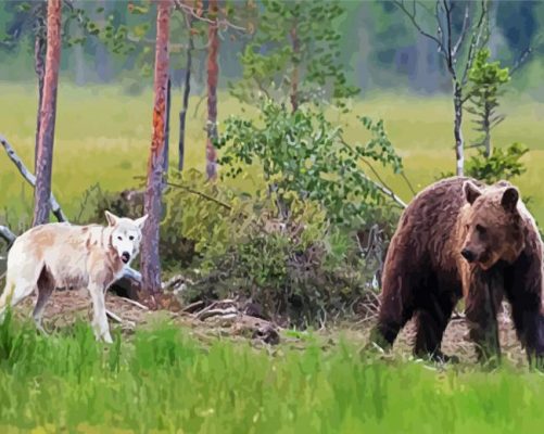 Bear And Wolf paint by numbers