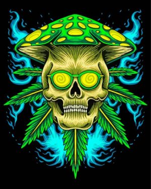 Mushroom Skull paint by numbers