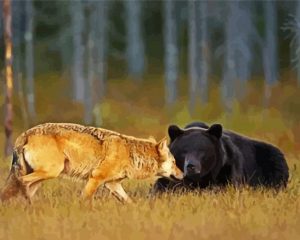 Bear And Wolf paint by numbers