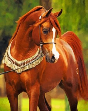 Brown Arabian Horse paint by numbers