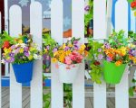 Hanging Flowers And Fence paint by numbers