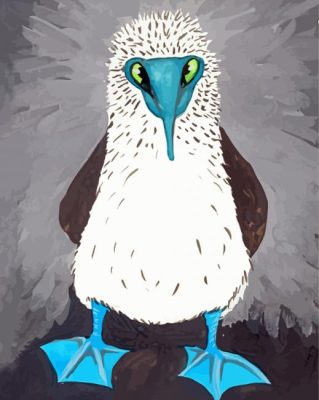 Blue Footed Booby paint by numbers
