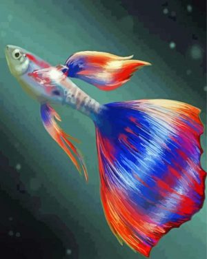 Guppy Fish paint by numbers