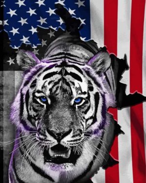 Patriotic Tiger paint by numbers
