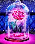 Enchanted Rose paint by numbers