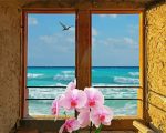 Flowers In Window By Sea paint by numbers