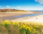 Alnmouth Beach England paint by numbers
