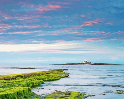 Coquet Island Alnmouth paint by numbers