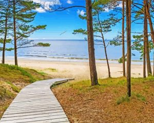Jurmala Landscape paint by numbers