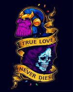 True Love Never Dies paint by numberss