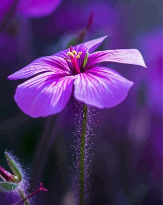 Purple Single Flower paint by numbers 