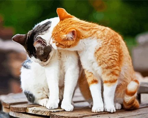 Cat Love paint by numbers