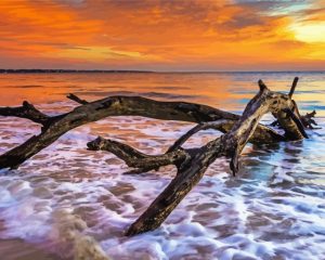 Driftwood In The Ocean paint by numbers
