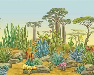 Garden Desert Paint By Numbers