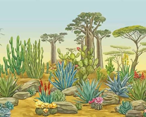 Garden Desert Paint By Numbers