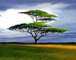Lion King Tree Paint By Number