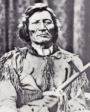 Morning Star Chief paint by numbers