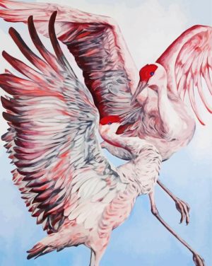 Two Sandhill Cranes Birds paint by numbers